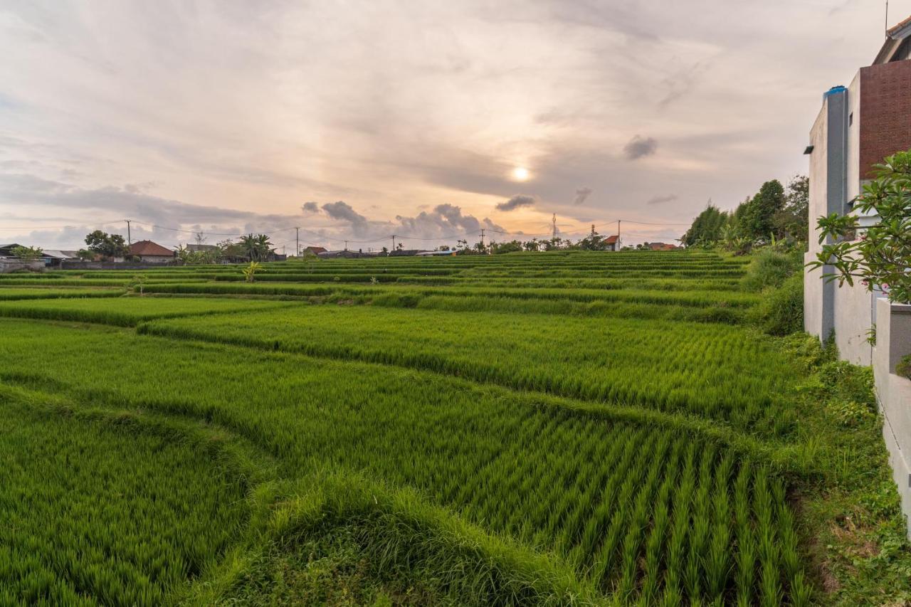 D'Macho Villas Ubud Kültér fotó