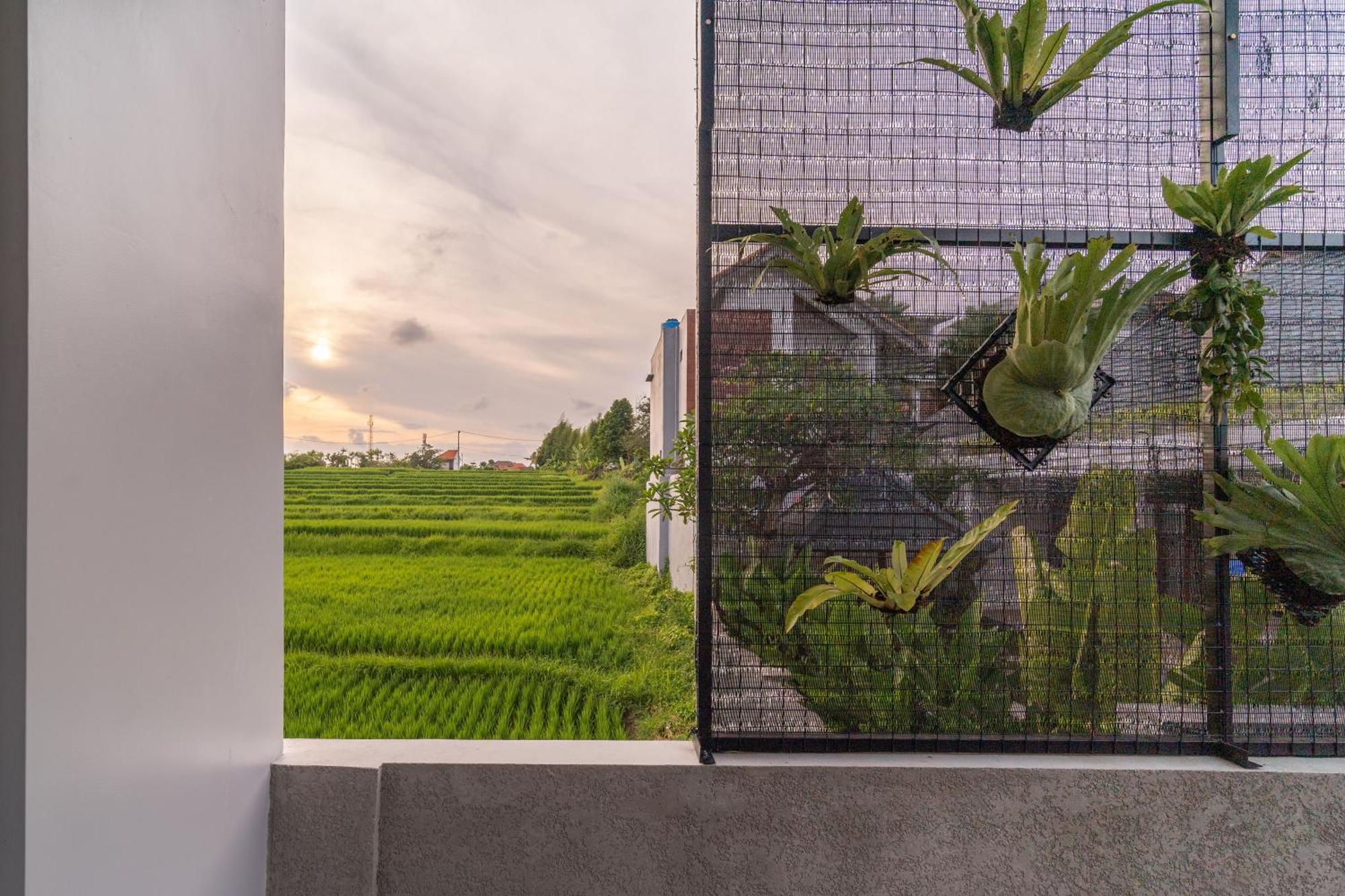 D'Macho Villas Ubud Kültér fotó